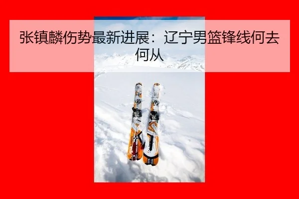 张镇麟伤势最新进展：辽宁男篮锋线何去何从